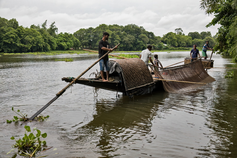 Otter Fishing in Bangladesh